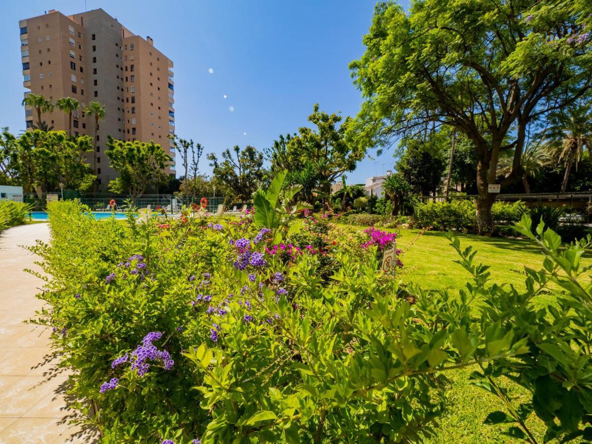Apartment Cubo's Seaview Evy Playa *